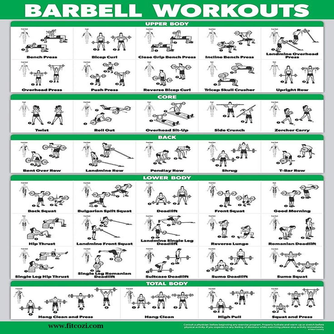 Barbell Workout Exercise Guides