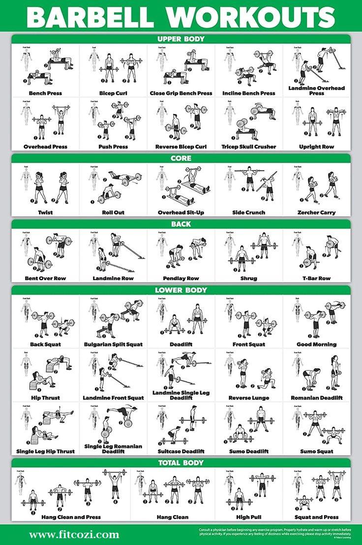 Barbell Workout Exercise Guides
